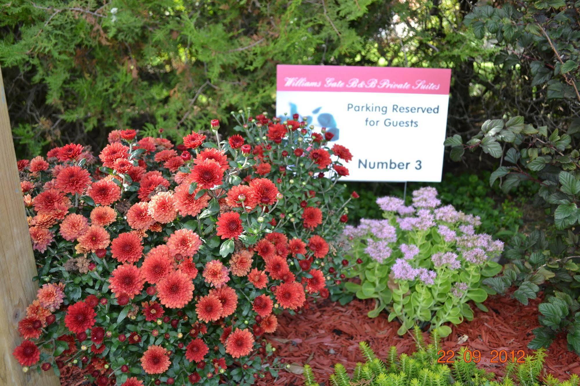 Williams Gate Bed & Breakfast Private Suites Niagara-on-the-Lake Luaran gambar